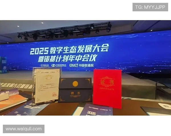 中国开云品牌在数字化转型中的创新举措及其对中国市场的深远影响