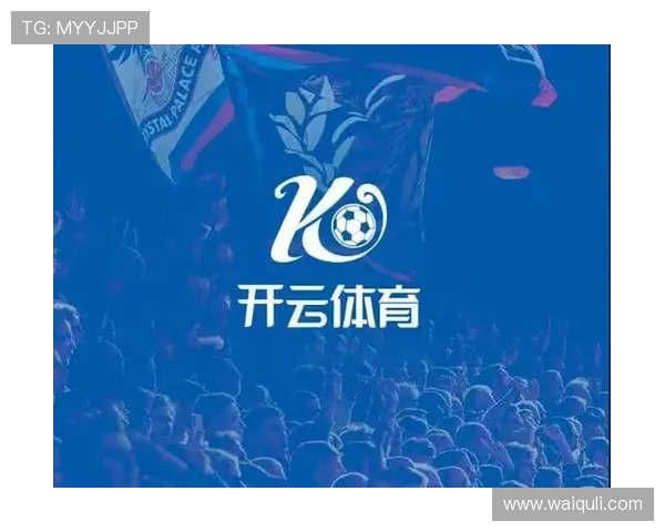 开云体育网页版入口功能与体验全面评价，选择最佳体育娱乐平台的指南