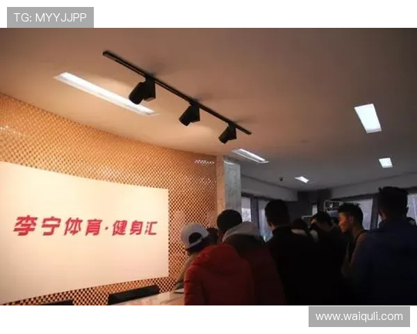 完美体育网址登录线路详细解析与使用指南推荐